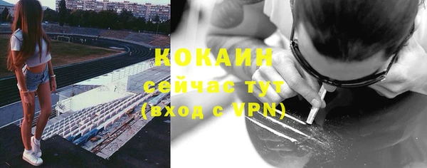 твердый Алексин