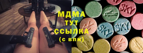 гидра Покачи