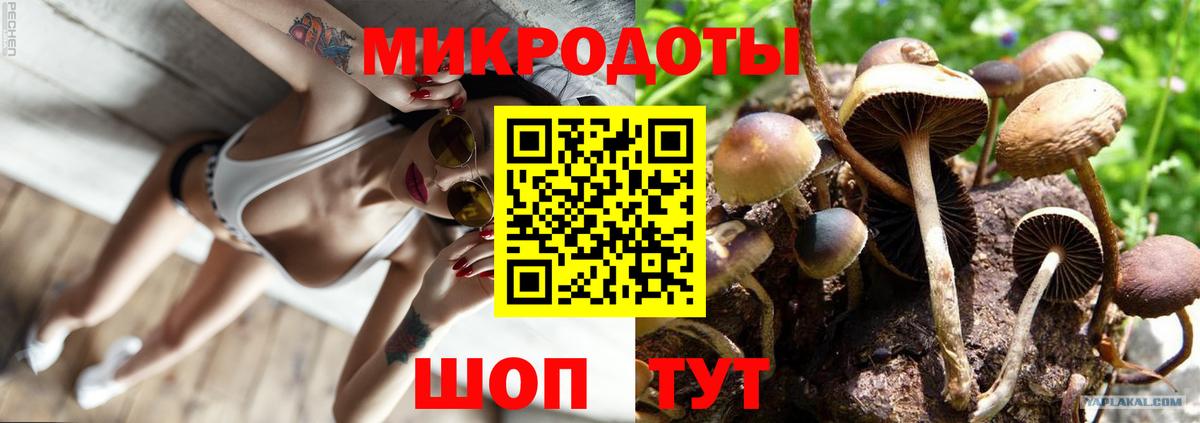 Сухой Лог  где продают   Вход с VPN  Галлюциногенные грибы мицелий  Галлюциногенные грибы мухоморы 