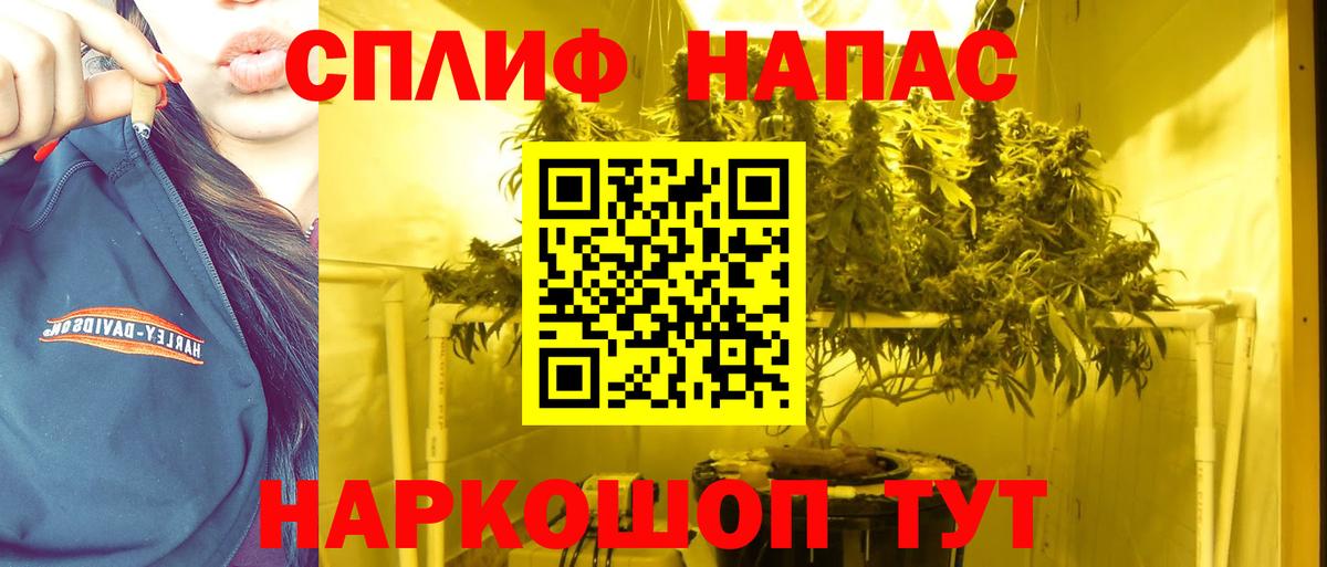Марихуана White Widow  Марихуана тримм  Вход с VPN  Сухой Лог  Бошки марихуана тримм  Каннабис Amnesia 